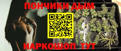 дживик Кингисепп