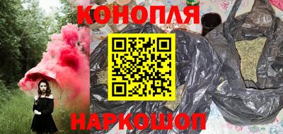 дживик Кингисепп