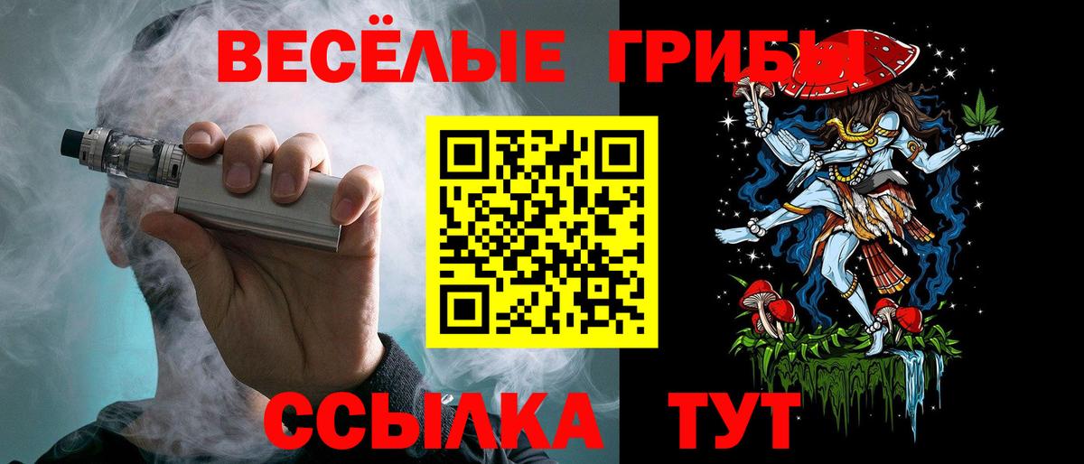 Псилоцибиновые грибы Psilocybine cubensis Янаул